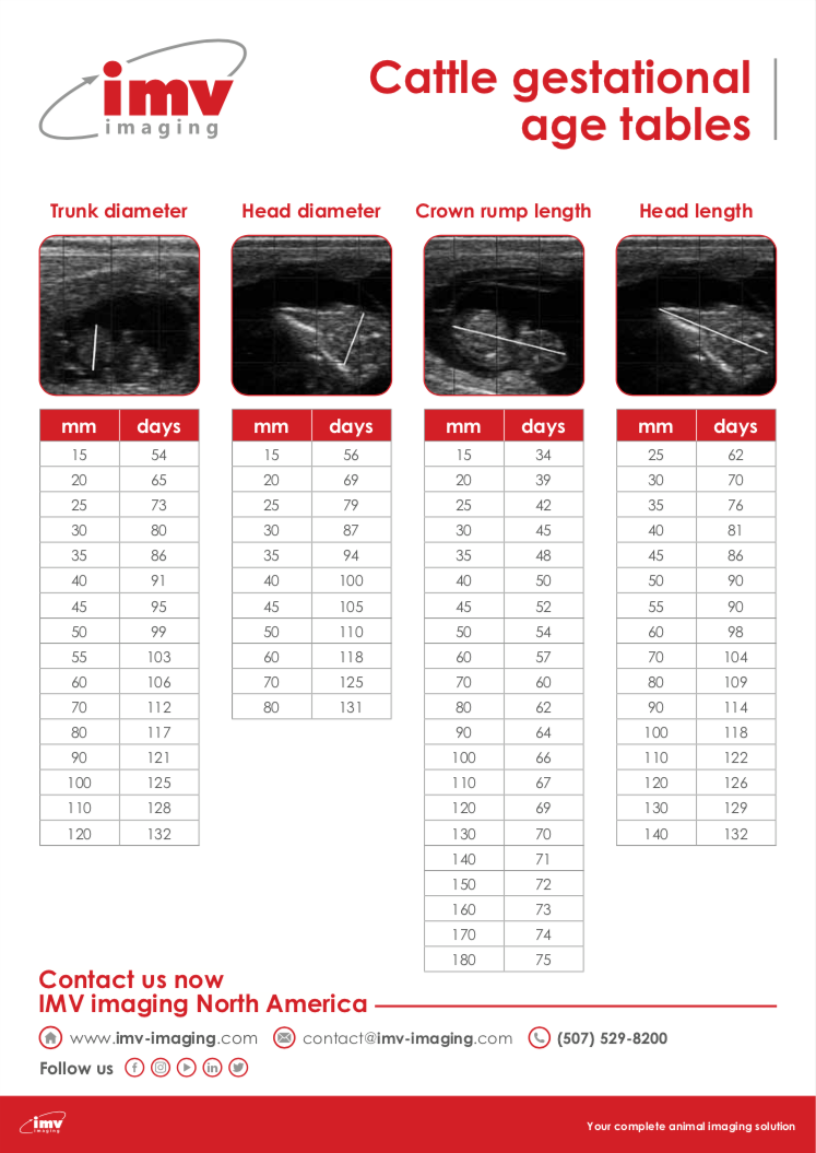 Cattle gestational age tables